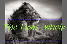 The Lions Whelp photo